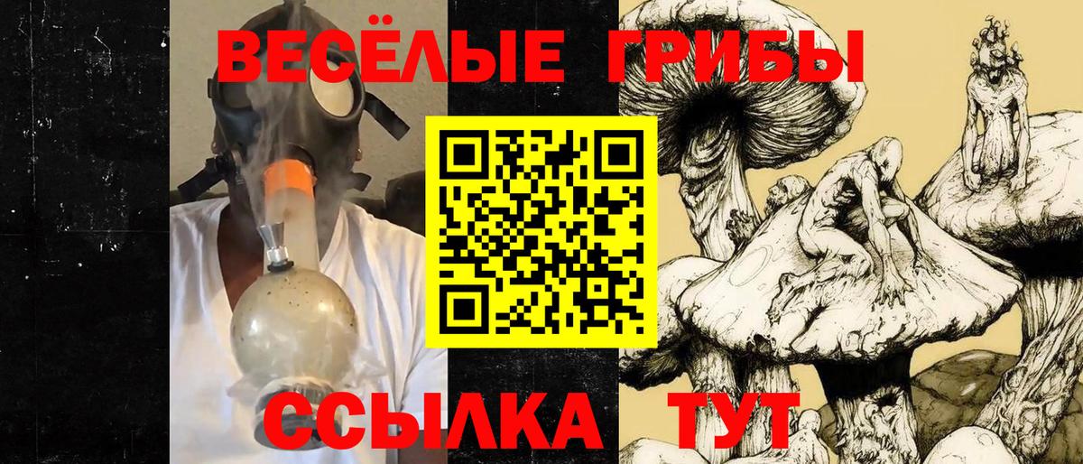 Галлюциногенные грибы Cubensis Вязьма