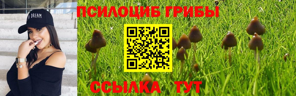 Галлюциногенные грибы мицелий  Вход с VPN  Вязьма 